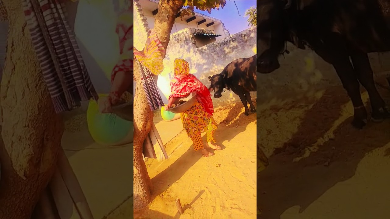 #तेरी यादों कि चादर ओढ़ हर रात गुजर जाती है 😘🔥❤️#viralvideo #romantic song #trending #love