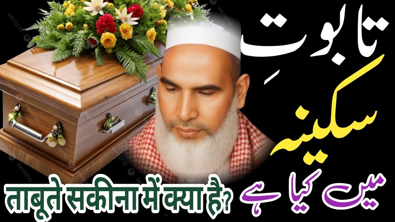 تابوتِ سکینہ میں کیا ہے؟ | قرآن و تاریخ کی روشنی میں مکمل حقیقت qari haneef ka bayan 