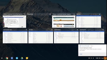 Animal Feed Minimization Problem Part 2