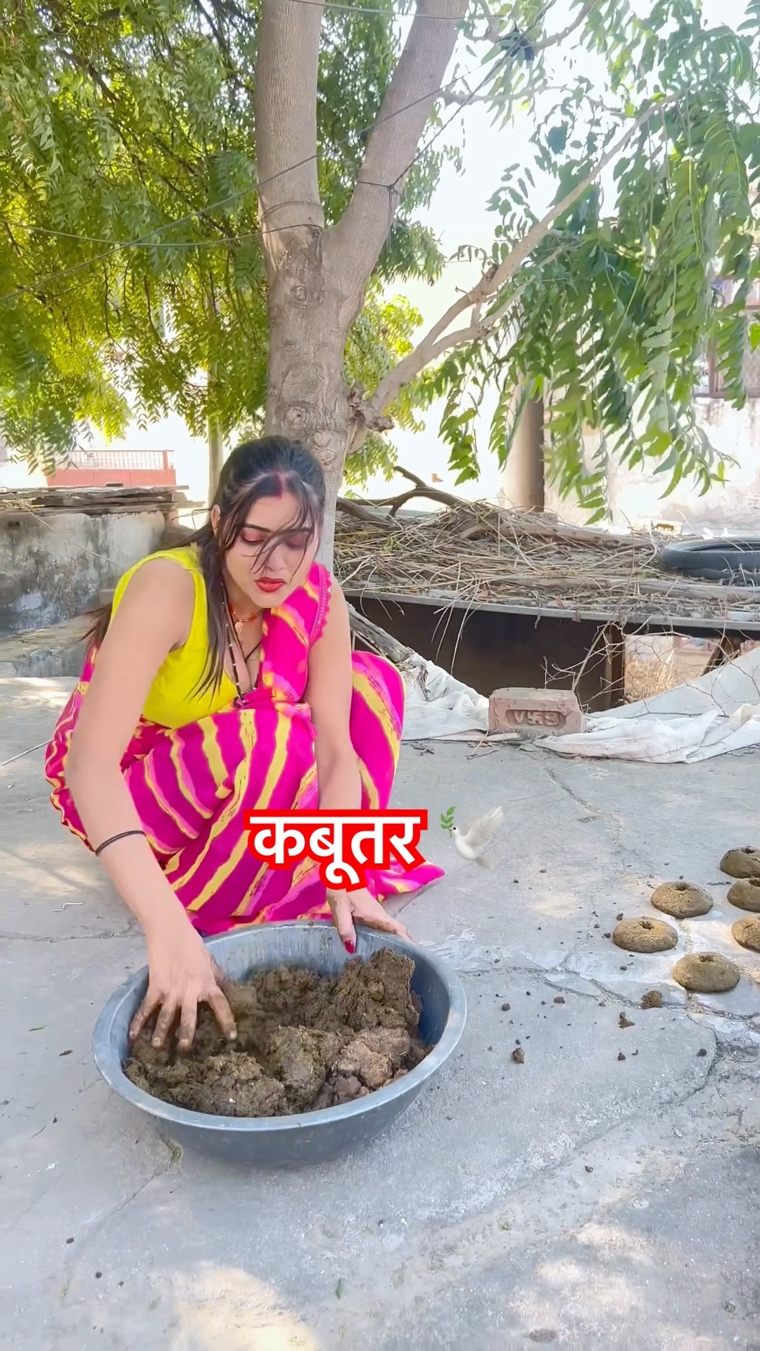 आ जाइयो  मेरे आशिक़ तू बनके कबूतर ?️ #shorts #meenu #trending #ytshorts