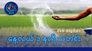 DVB Digital နေ့လယ် ၁ နာရီ သတင်း (၁၇ ရက် မတ်လ ၂၀၂၆)