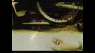 Jeena Mera-Saraab