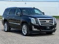 2019 Cadillac Escalade Premium Luxury Portage, Kalamazoo, Battle Creek, Mattawan MI