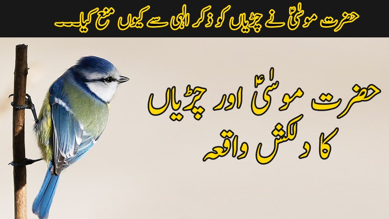 Hazrat Musa Ka Waqia | Musa (as) Aur Parendy Ki Kahani | Islamic Stories | Waqiah