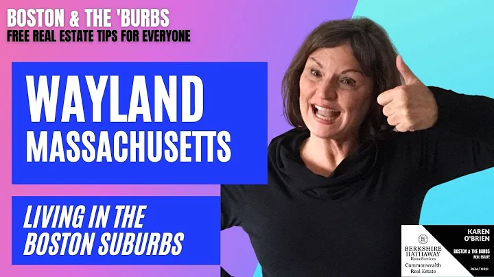 WAYLAND MA LIVING IN THE BOSTON SUBURBS