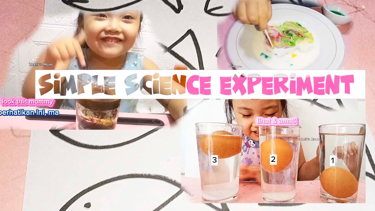 5 Simple Science for Kids YouTube