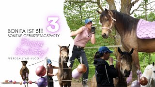 Bonita ist 3!!! - Bonitas Geburtstagsparty (Vlog)