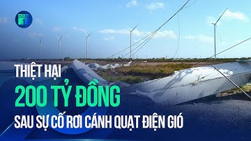 Bản tin chiều 4/3: Cánh quạt điện gió rơi ở Bạc Liêu gây thiệt hại 200 tỷ đồng | VTC1