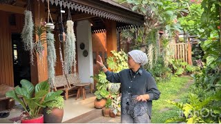 Review Tanaman Depan Rumah Mbok Kebon