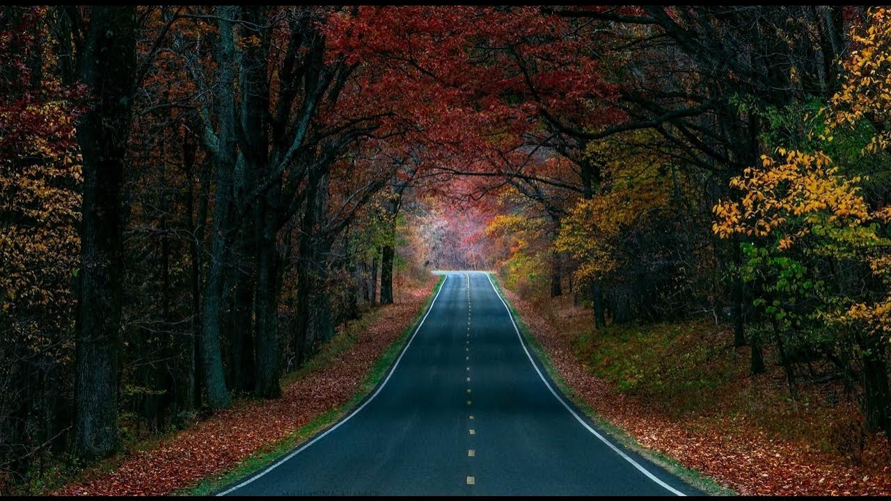 Осень дорога фото красивые