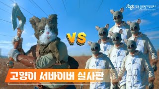 고양이 서바이버 실사판: 쥐를 잡자 쥐를 잡자, 찍찍찍!🐭