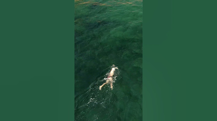 La glisse en eau libre  #crawl #openwater  #swimcamp