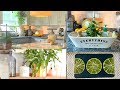 IDEAS PARA DECORAR LA  COCINA EN VERANO 🍋 DECORACION ALEGRE, CON PLANTAS  Y ECONOMICA🌵+ DIY