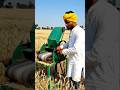 Deshi Jugad Se Gehun Alag Karta, #trending #shorts #deshi #jugad #love #viral #ytshorts