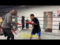 Gervonta Davis looks like Mike Tyson and Manny Pacquaio on mitts in camp for Rolly | esnews