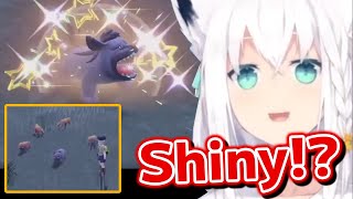 Fubuki Encounters A Shiny Pokemon Again Shiny Maschiffhololive