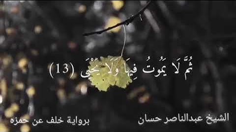 سورة الاعلي برواية خلف عن حمزه #الشيخ_عبدالناصر_حسان