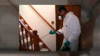 San Diego, CA Pest Control - Top Considerations in Hiring a Pest Control Professional
