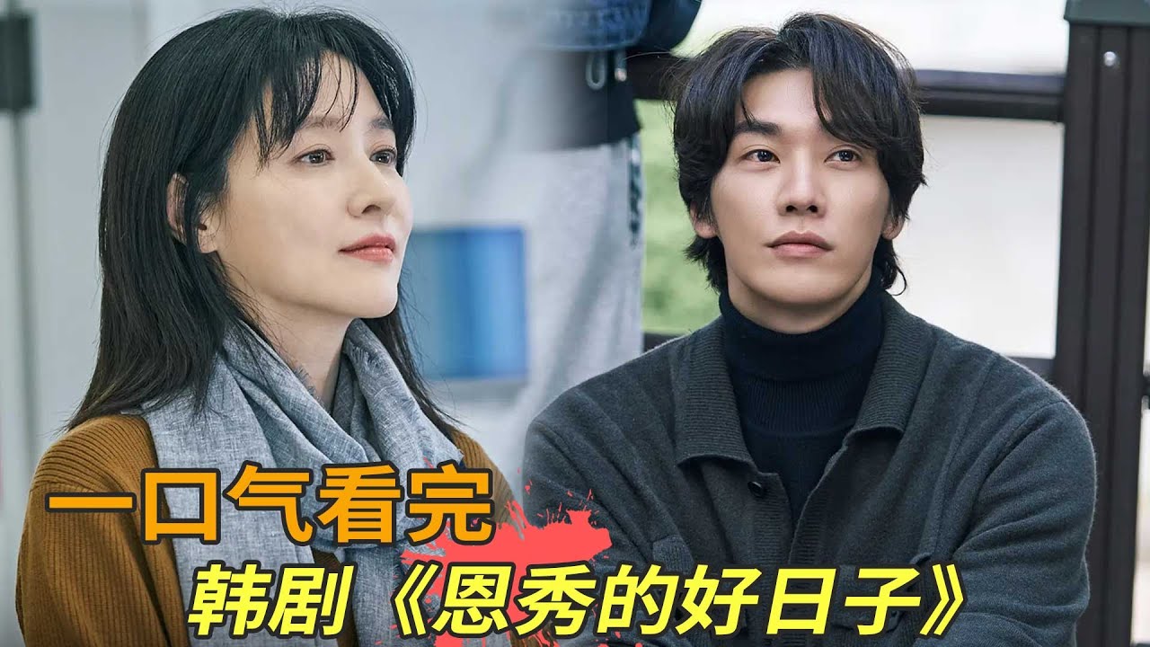 韩剧《恩秀的好日子》一口气看完，李英爱从家庭主妇变身毒枭