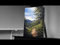 Painting a realistic forest landscape with acrylics  paint with ryan