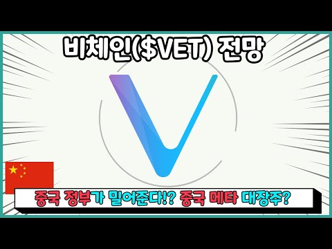   비체인 코인 전망 중국 메타 대장주 VET 호재 알아보기 Feat VTHO