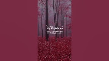 سوره مبارکه هود آیه ۸۸  وما توفیقی إلا بالله