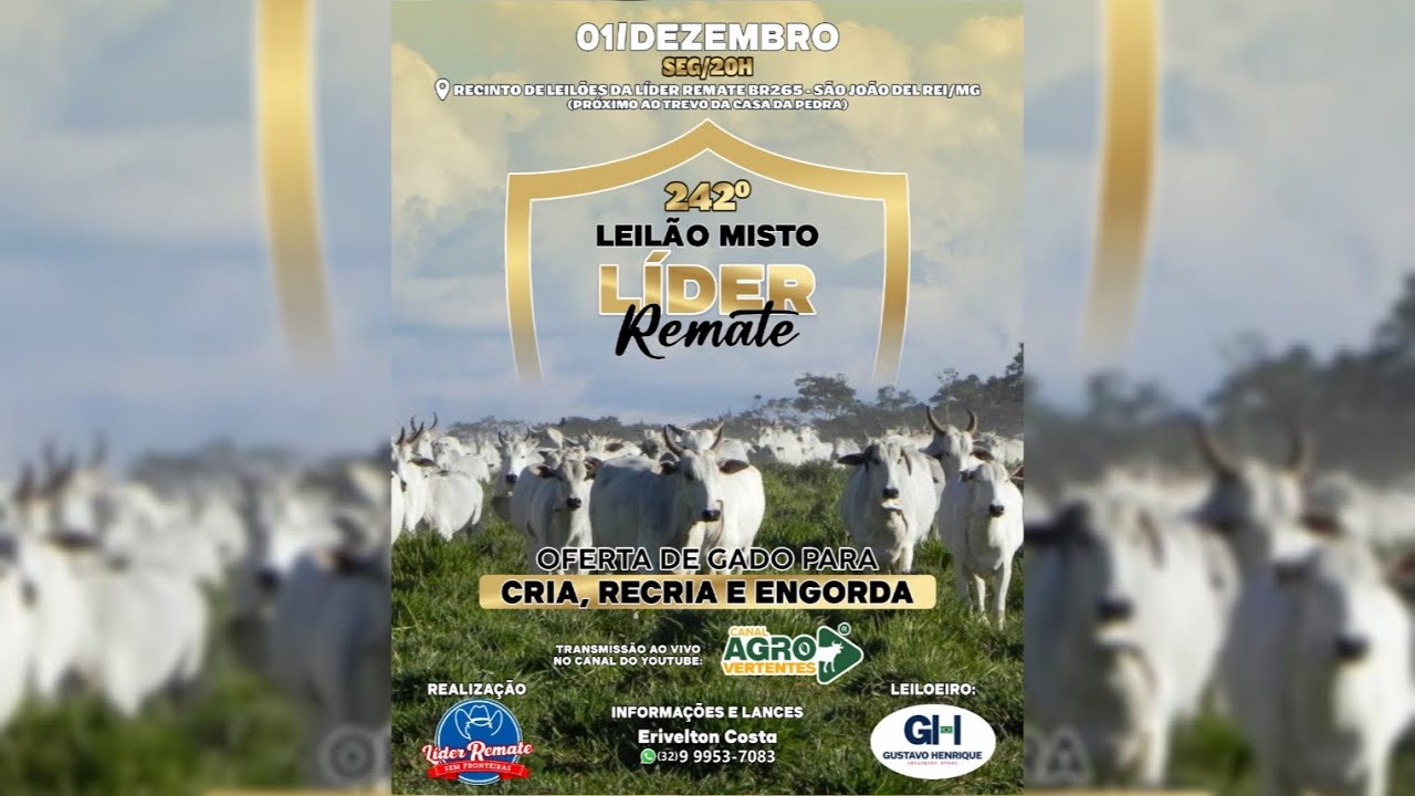 242º LEILÃO MISTO LÍDER REMATE - 01/12/2025