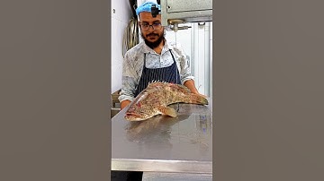 new Grouper fish cutting skills show up video clean white meat with a subtle sweetness#video