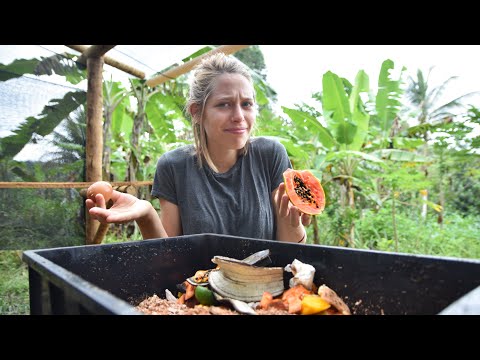 Vídeo: Tomate Plantas Em Compostagem - Tudo Bem Compostar Tomates