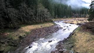 The Hemlock Dam Removal Story  Columbia Basin Restoration