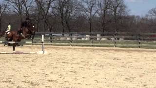 Famous Andiamo-Jamison Wealth