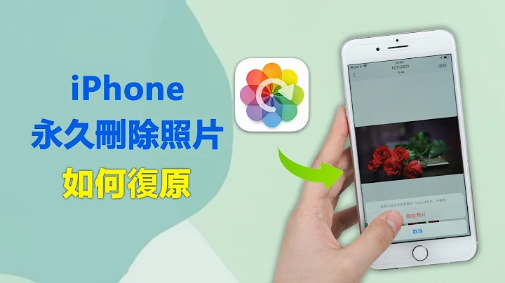 iPhone 照片恢复的最佳教学 | 恢复永久删除照片 | iPhone 照片删除救回 - 天天要闻