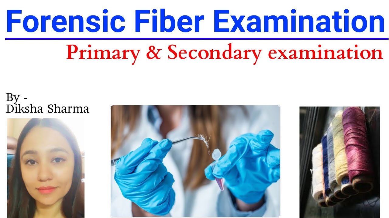 fibre evidence case study