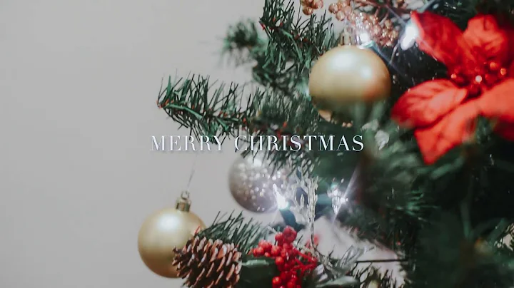 Our christmas tree