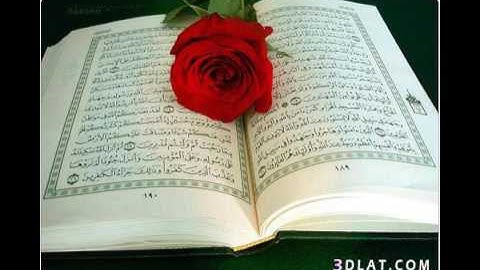 سورة تبارك الذي بصوت الشيخ محمد ربيع