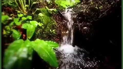 من نعيم أصحاب اليمين ( اللهم اجعلنا منهم ) | ما تيسر من سورة الواقعة ..