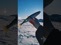 Корюшка замёрзла за 2 минуты при -20°С. #nastikae #fishing #рыбалка #корюшка #Гертнера