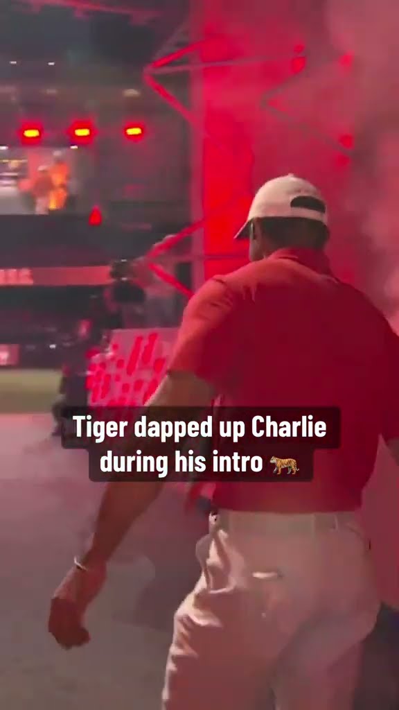 Tiger ? Charlie