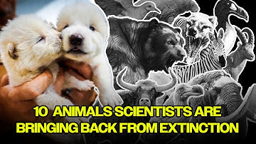 Scientists Are Bringing Back These 10 Animals Back From Extinction | Dire Wolves Are Back?