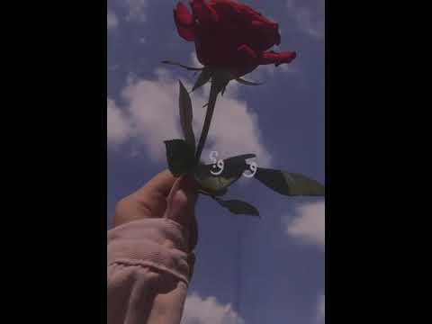 تصميم ونبدا عمر جديد بدون حقوق