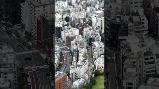 Tokyo from Above 👆🇯🇵 #4kwalk #walkingtour #travel #citywalk #japan #tokyo