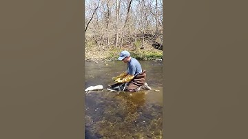Collecting Macroinvertebrates