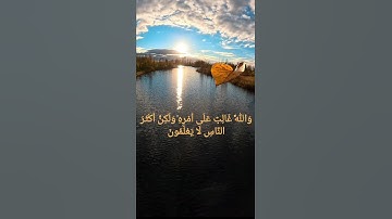 من سورة يوسف للقارئ محمد هزاع
