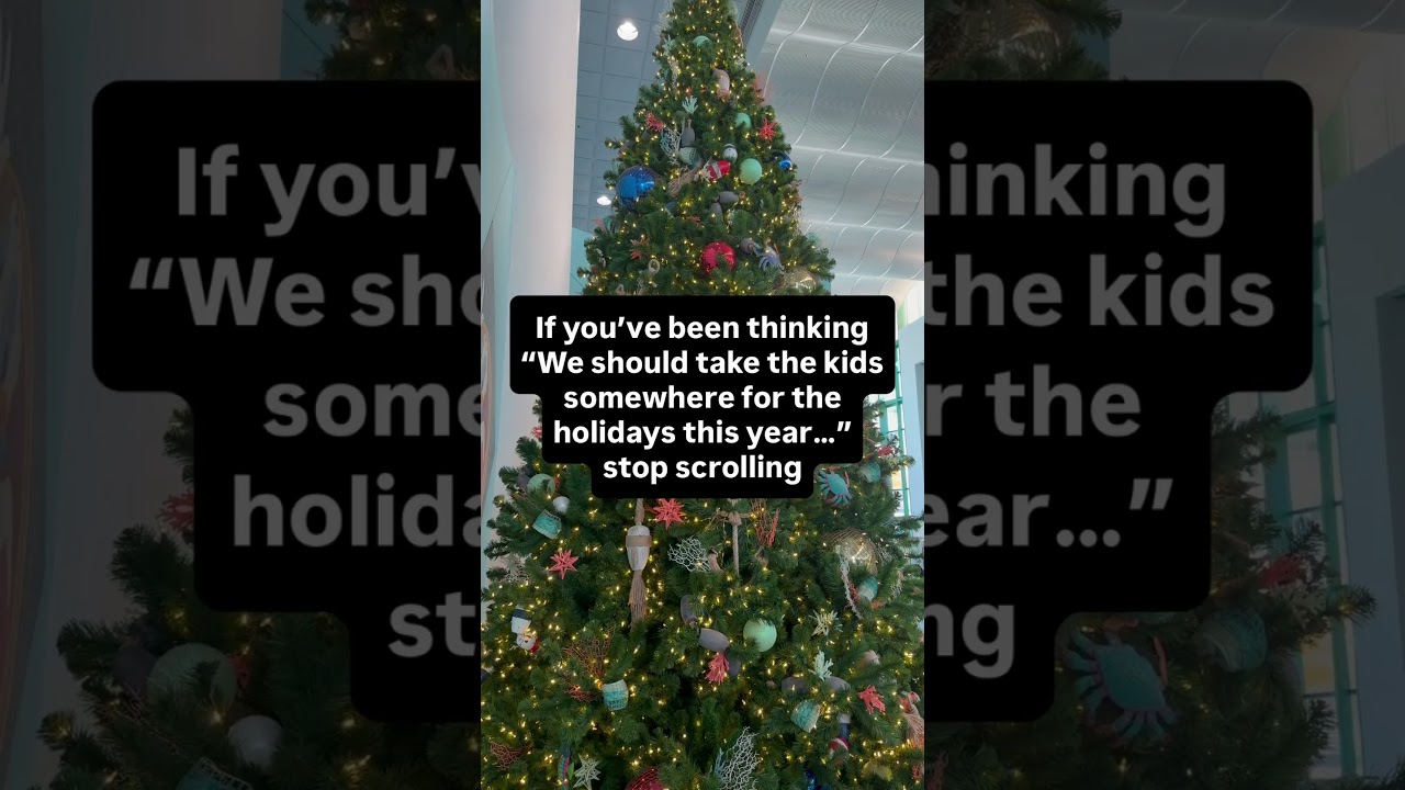 If you’ve been thinking about taking your kids somewhere for the holidays, now is the time to plan