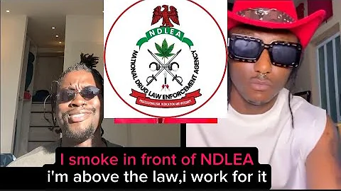 Terry G sent a warning ⚠️ to VDM,i smoke Igbo because I'm above NDLEA