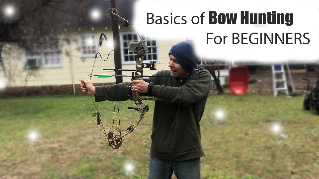 Bow Hunting for beginner Learning the Basics YouTube