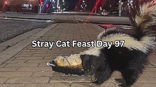 Stray Cat Feast Day 97 by SW 129 views 3 months ago 2 hours, 6 minutes