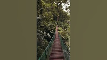 hadit #islamicreminder #automobile #quran #nature #تلاوة_خاشعة #المراه #قرآن #اكسبلور #بحر #الظروف