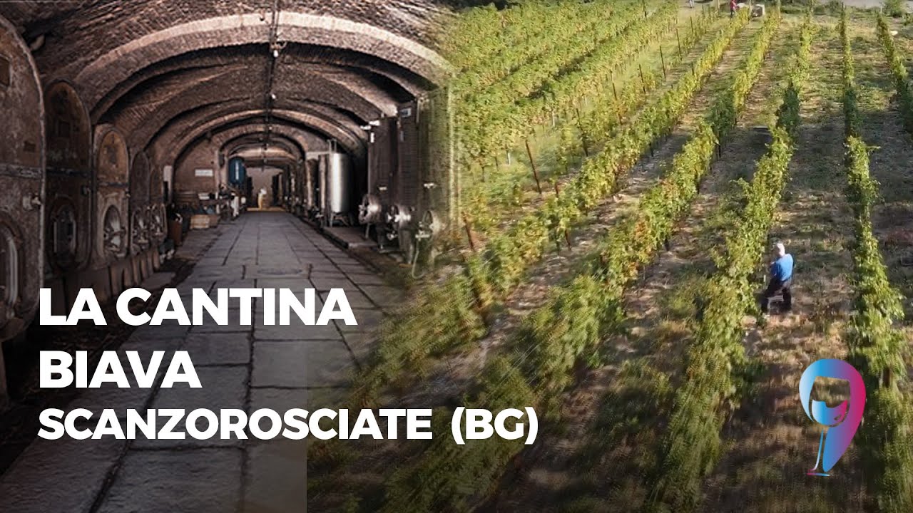 La Cantina Biava - Scanzorosciate (BG)