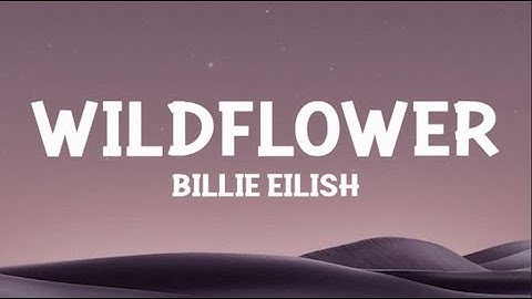 Thumbnail of Billie Eilish  - WILDFLOWER (Lyrics)